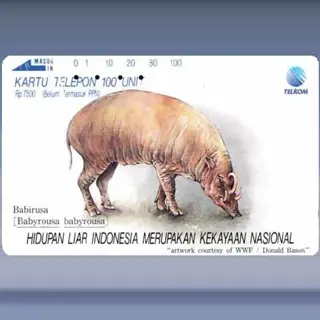 Babirusa (1992)
