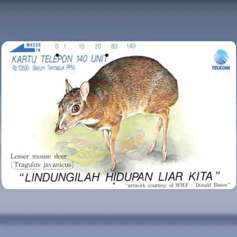 Lesser Mouse Deer (1992)
