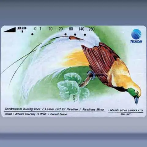 Lesser Bird of Paradise (1993)