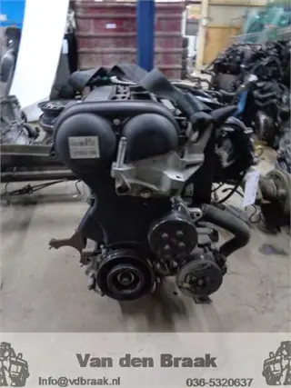 Ford Fiesta 1.25 16V 2008-2012 Motorblok (STJB)