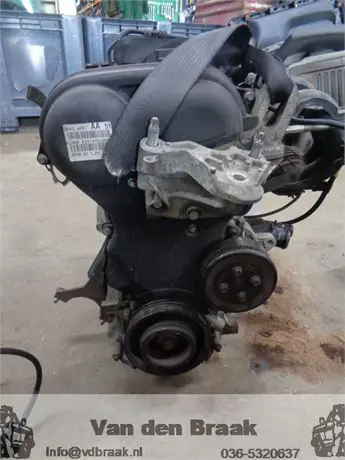 Ford Fiesta 1.25 16V 2008-2012 Motorblok (STJA)