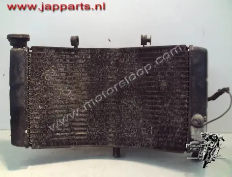 Honda CBR900RR(SC33) Radiateur met koelvin