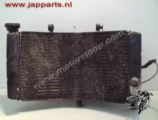 Honda CBR900RR(SC33) Radiateur met koelvin
