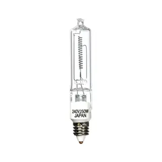 Profoto 250W 240V Halogen Mini-can