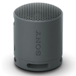 Sony SRS-XB100 Zwart