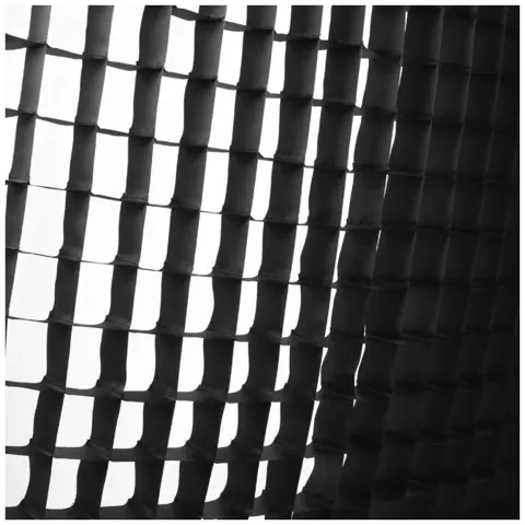 Profoto Softgrid 50 graden 1.3x2' 40x60cm