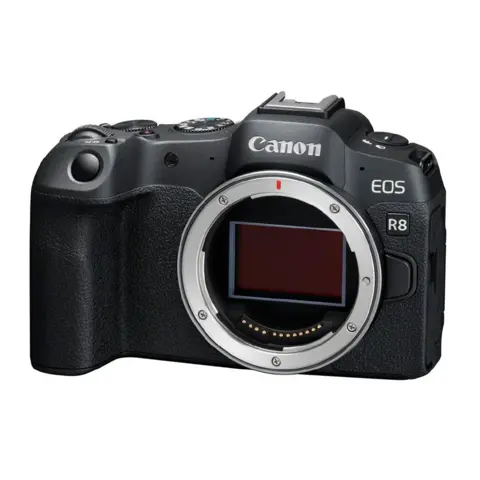 Canon EOS R8 + RF 24-105 f/4-7.1 IS STM
