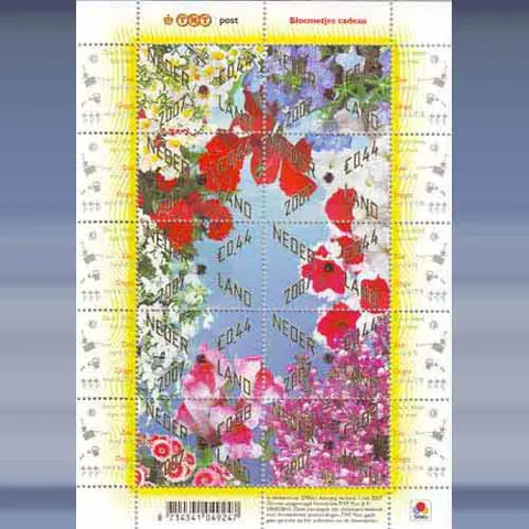 Bloemetjes cadeau (1-5-2007)