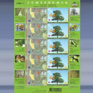 Zomerbomen (21-6-2007)