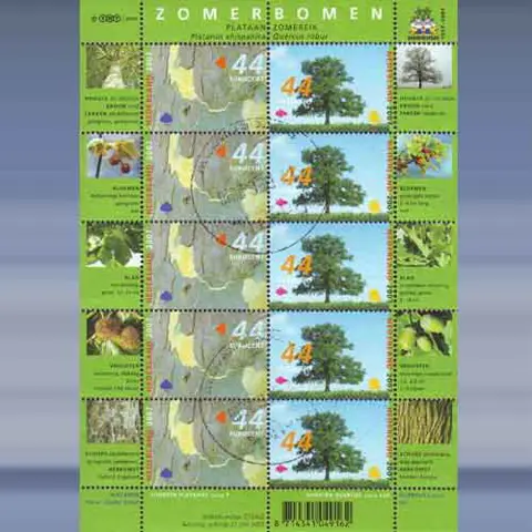 Zomerbomen (21-6-2007)