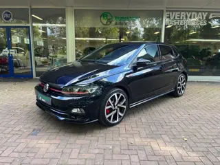 VOLKSWAGEN POLO 2.0 TSI GTI
