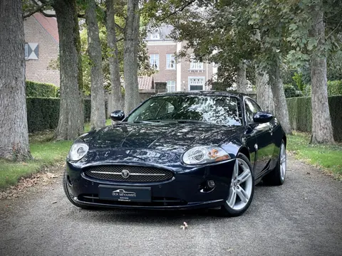Jaguar XK 4.2 V8 Coupé / YOUNGTIMER / FULL SERVICE FILE / XK SPECIALIST