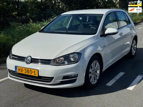 Volkswagen Golf 1.0 TSI Business Edition Connected / AIRCO / NAP