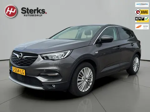 Opel Grandland X 1.2 Turbo Innovation CLIMAAT CONTROL HALF LEDER