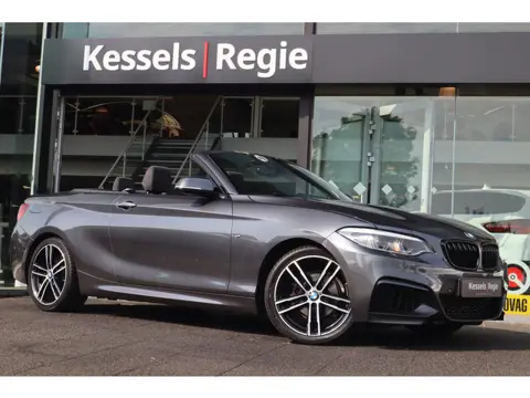BMW 2 Serie Cabrio 218i Executive M-Sport 18 inch Camera LED
