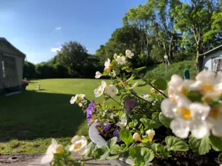 Boerencamping gelegen nabij Den Burg en dichtbij bos en strand