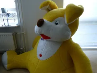 Paashaas te koop