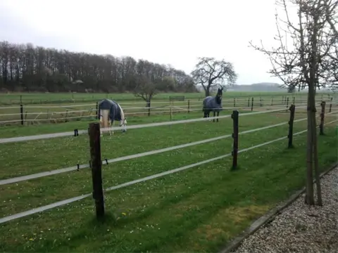 2 stallen vrij voor hengsten of ruinen