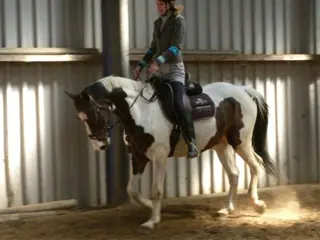 Gezocht weiland + 1 stal