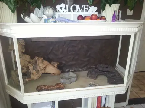 Te koop mooie luxe terrarium