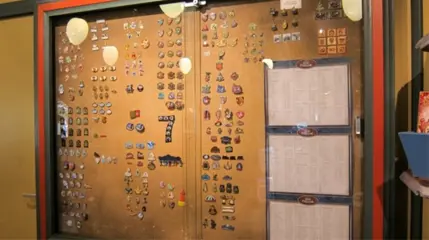 Vele Efteling Pins