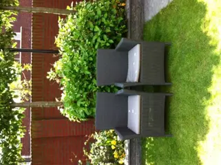 Borek Windsor stoelen