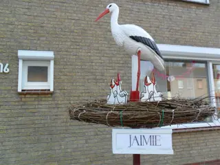 3d ooievaar hoogmodel met echt nest, goedkoop huren