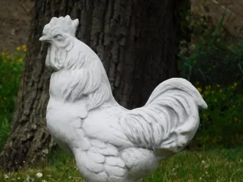 Tuinbeeld , haan , kado
