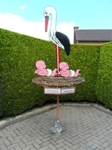 Ooievaar met tweeling baby's op nest met gratis naambordjes.