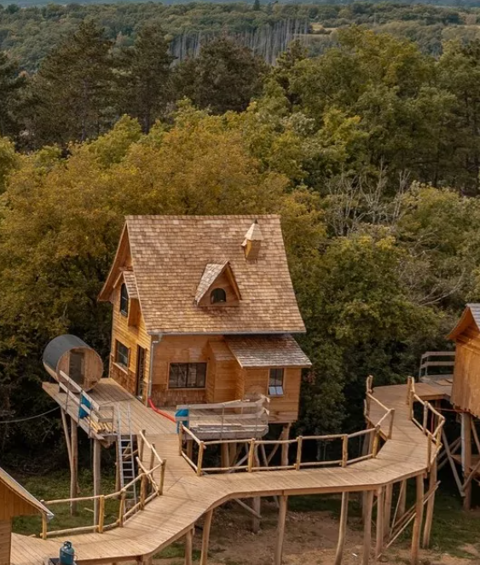 Boomhut met sauna, 4 personen NIEUW