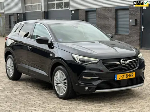 Opel Grandland X 1.2 Turbo Business Executive LEER NAVI CRUISE PDC NAP APK