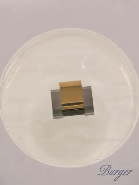 Rolex Steel/Gold Oyster Link