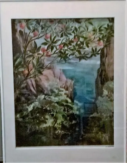 H dekker aquarel 45 x75 cm