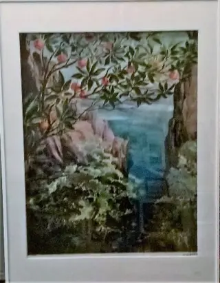 H dekker aquarel 45 x75 cm