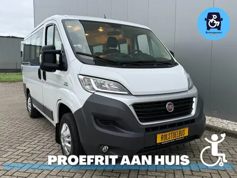 Fiat Ducato Rolstoelbus (Meerijder) 4 Persoons Automaat