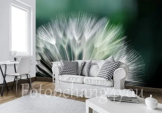 Dandelion fotobehang Paardebloem behang