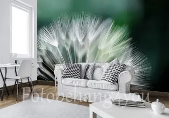 Dandelion fotobehang Paardebloem behang