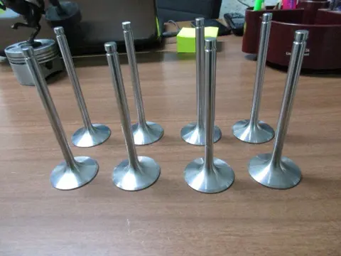 Intake valves for Maserati engines 8 cylinders