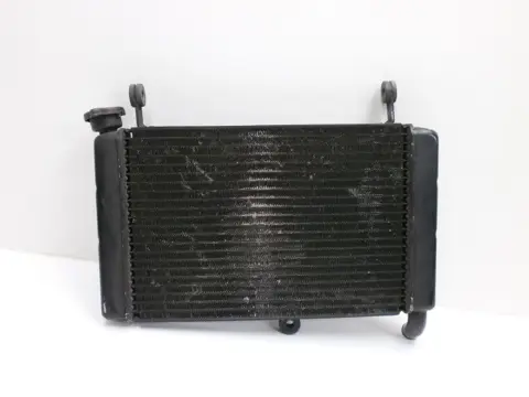 RADIATEUR Yamaha YZF 600 Thundercat 1996 - 2003