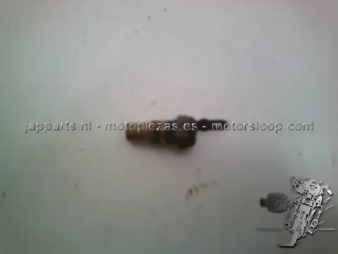 Suzuki RF600R Temperatuursensor