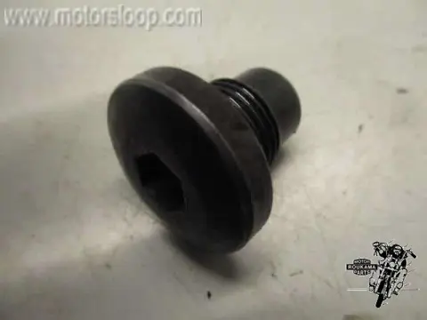Suzuki GSX550(GN71) Olieleiding bout (De-niet-aftapplug)