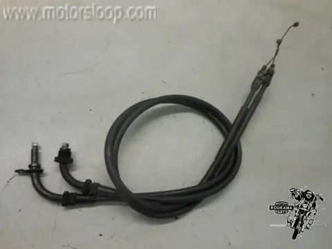 Suzuki GSF600S(A81111) Gaskabels