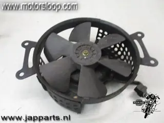 Kawasaki VN1500C Koelvin