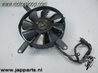 Kawasaki VN800A Koelvin