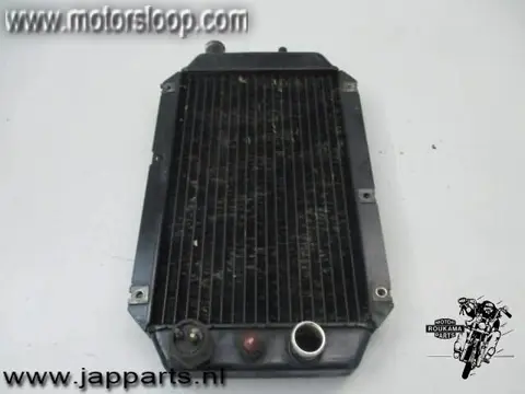 Kawasaki VN800A Radiateur