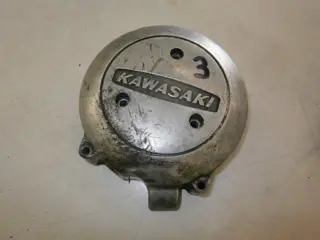 Kawasaki Z?? Dynamokap
