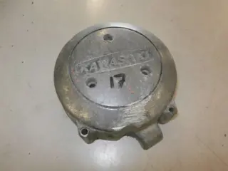 Kawasaki Z?? Dynamokap