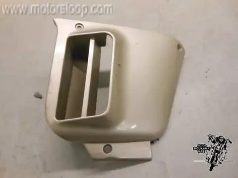 Kawasaki ZG1200(ZG9B) Kuipdeel rechts