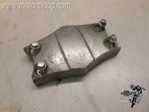 Kawasaki ZG1200(ZG9B) Voorspatbord plaat