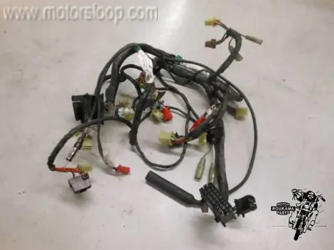 Kawasaki ZG1300(ZGT30A) Audio draadboom